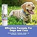 JAMBOS Effectively | 2 Bottles Bitter Apple Spray for Dogs to Stop Chewing, NO Chew Spray for Dogs Protect The Safety of Furniture and Your Belongings, Prevent Licking Injuries (Blue, M)