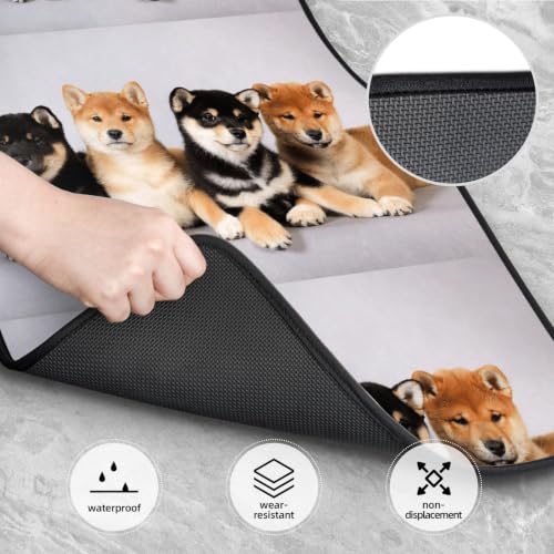 Alfombrillas de coche Shiba Inu antideslizantes juego de 4 piezas universal 4