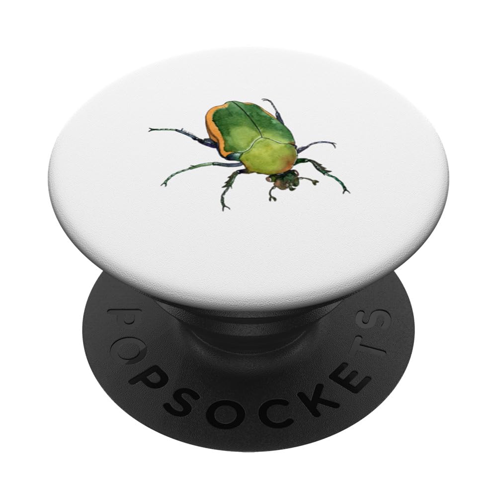 Figeater Beetle Green Fruit Fig Cotinis Mutabilis Scarab PopSockets Standard PopGrip