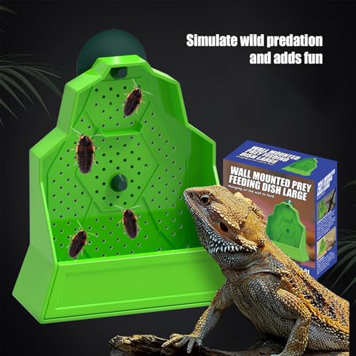 Mangeoire à caméléon | Gamelle pour reptiles | Accessoires de réservoir, bol de chasse anti-évasion pour caméléon, grenouille, serpent, araignée, amphibien, tortue, gecko – vue 2