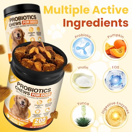 200 Count Probiotic Chew for Dogs-Probiotics Chews for Gut Digestive Health & Itchy Skin Support Relieve Diarrhea Enhance Immunity Breath Freshener with Enzymes Prebiotic Pumpkin-Chicken - Image 3