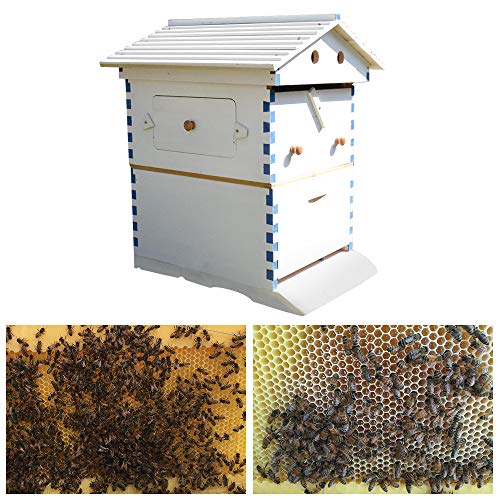 Hengyuanyi Automatic Wooden Beehive House Beehive Frame Bee Hive Wooden Bees and Beekeeping Equipment Hive Beehive Supply Beekeeper Tools