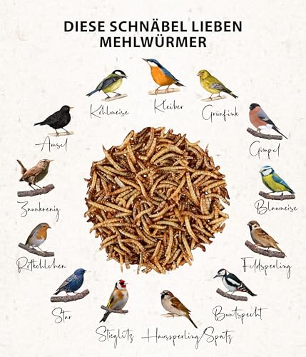 Dehner Natura Premium Nourriture pour Oiseaux Sauvages, Nourriture pour oisillons, 100 g – Image 4