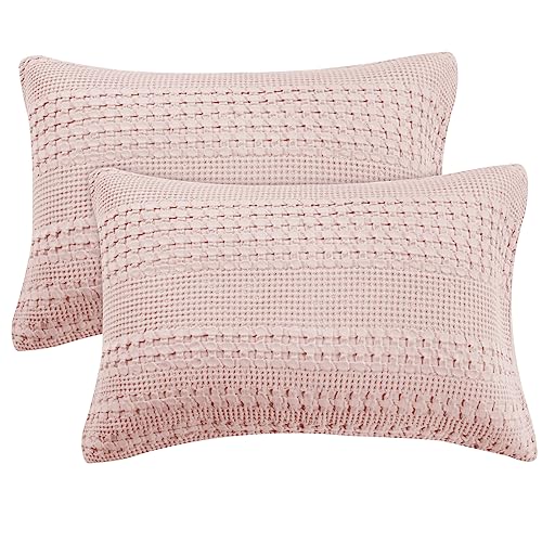 The 10 Best Company Store Pillows Reviews & Comparison Glory Cycles