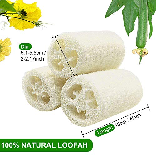 image for WANGZAIZAI Loofah Sponge, Natural Loofah Cucumber Sponge, Removal, Dea