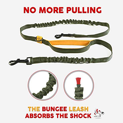 Double Dog Leash Large Dogs Hands Free | 2 Dog Leash No Tangle | Waist Leash For Walking Two Dogs | Dual Dog Leash For Running, Hiking, Training | No Pull Dog Leashes For Large Breed Dogs #TOP2