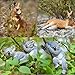Toymany 7PCS Australian Wildlife Animal Figurines Includes Koala and Kangaroo Figure Toy, Plastic Forest Animal Figures Toy Set, Cake Toppers Christmas Birthday Gift for Kids Toddlers