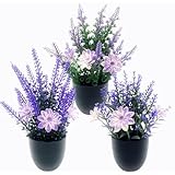 Rainway Lot de 3 petites plantes de lavande artificielles avec pot   Plantes de lavande artificielles en pot   Pour bureau, maison, chambre à coucher, salon
