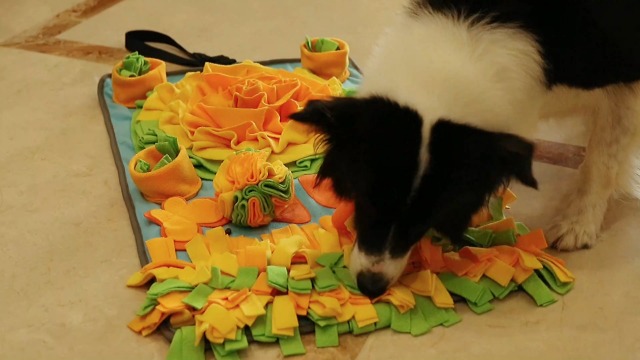 ZMUBB Large Snuffle Mat for Dogs with Dog Puzzle Toys Pet Foraging Mat and Interactive Toys for Nose-Work Feeding… - Image 7