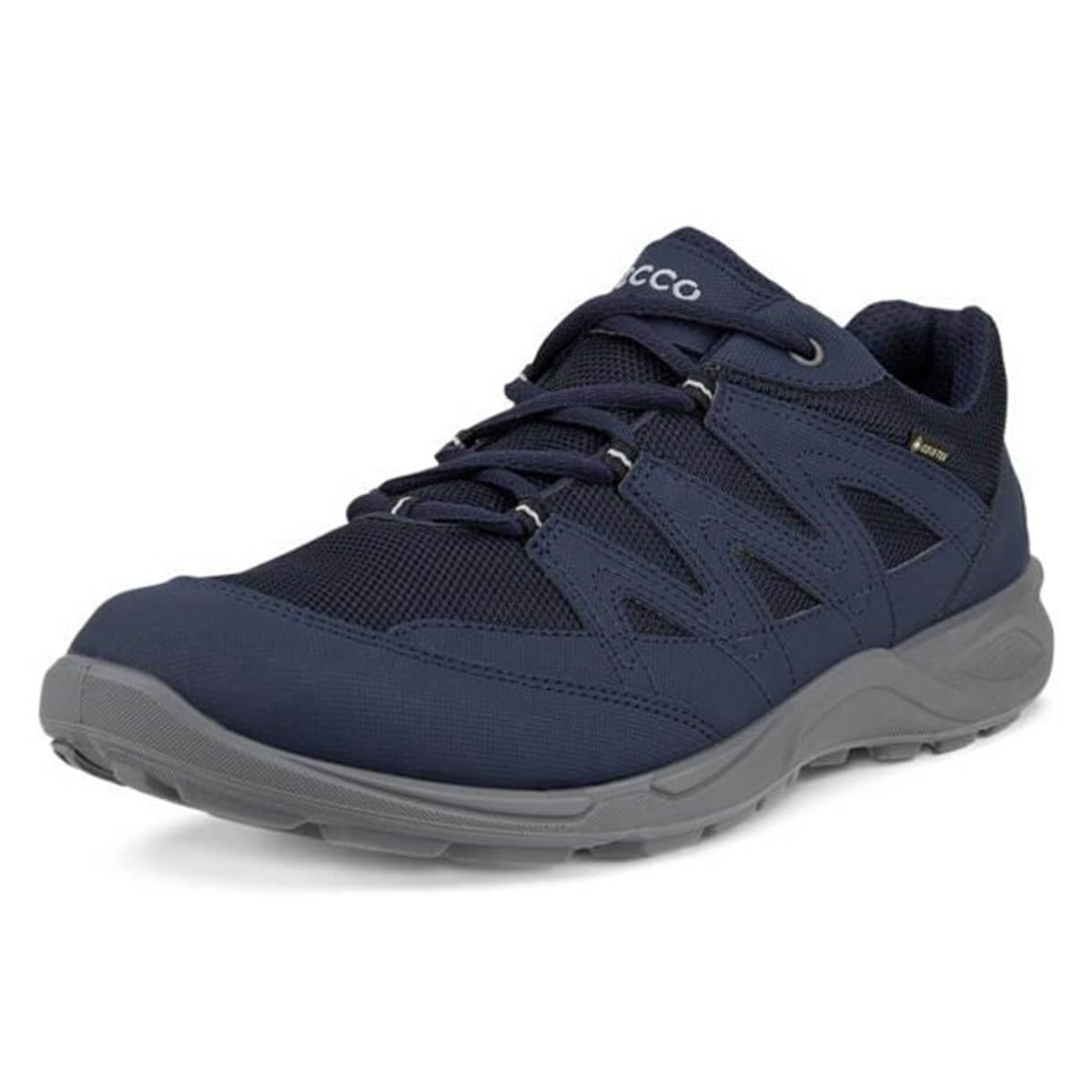 ECCO Terracruise Lt GTX Scarpe da Escursione/passeggioUomo