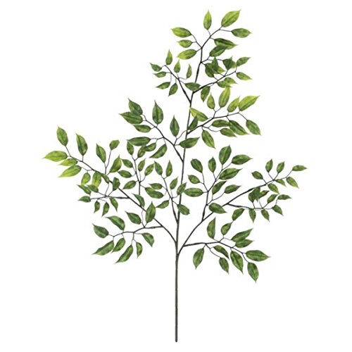 ~jtBJX xW~ XvC *126 vX`bN OΉ LES5122 tFCNO[ [t XvC lHϗtA OΉ ~jtBJXXvC tBJX xW~