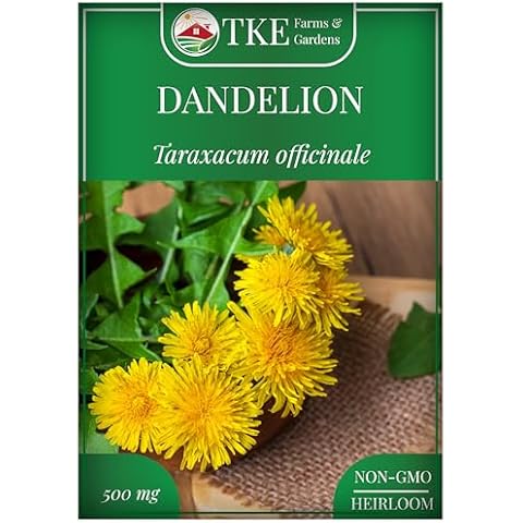 TKE Farms & Gardens - Dandelion Seeds for Planting, 500 Mg, 500+ Non-GMO, Heirloom Seeds, Produces Medicinal Greens & Edible Flowers, Supports Wildlife & Pollinators, Herbal Teas Cover