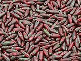 ⭕️ COLOR ► Opaque Red ~ 93210 ⭕️ MATERIAL ► Bohemia Crystal Glass, Czech Republic ⭕️ SIZE ► Hole - approx. 1 mm (0.04 inches); beads - 3 x 11 mm ⭕️ PACKAGING ► 300 Pieces ~ Bulk Pack ⭕️ OTHER INFO ► Simple and original beads will perfectly complement...