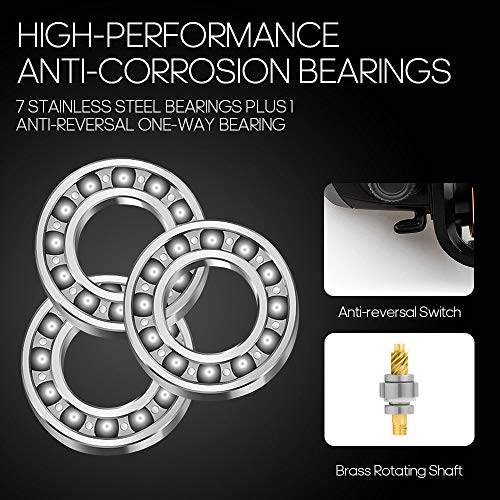 Ashconfish Spinn-Angelrolle, Graphitkörper, 7 + 1 Edelstahl BB, 5,0:1 Übersetzung, leichte Spinnrolle für Süßwasser… – Bild 4