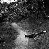 BlackDynamite [Explicit]