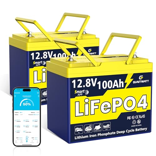 12V 100Ah LiFePO4 Battery Bluetooth, Lithium Battery Built