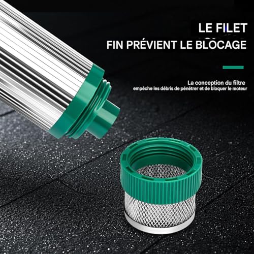 Pompe de d'eau 12V automatique compacte pour l'arrosage et le transfert - 5