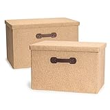 Nicely Neat Shelf Storage Folding Organizer Bin