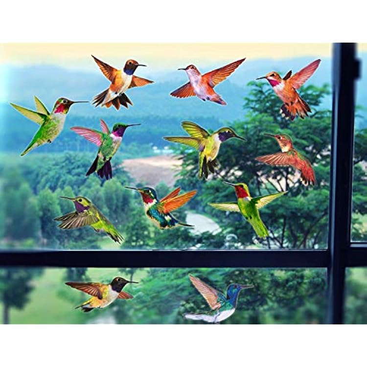 Anti-Collision Window Clings Bird Alert Collision Decals to Prevent Bird Strikes on Window Glass - Set of 12 Hummingbirds