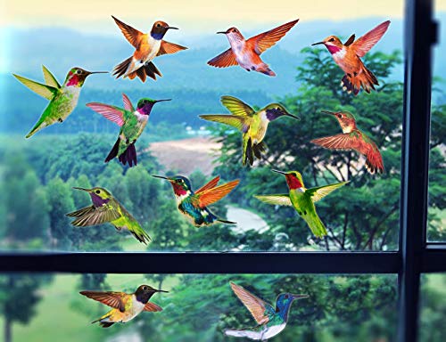Decalques anticolisão de alerta de pássaros para evitar batidas de pássaros no vidro da janela - Con