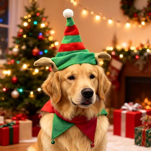 Sombrero de Santa y bufanda para perro rojo y verde L miniatura 4