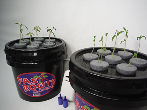 14 Site Indoor Plant Propagation Cloning System - Complete Aeroponics Air Bubbler Kit (in White)