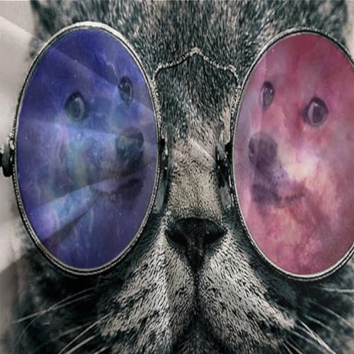 Funda nórdica de gato con gafas de sol King de microfibra suave 220x240 cm 8