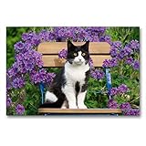 Gartenstühle Ratgeber · Ratgeber Haus & Garten