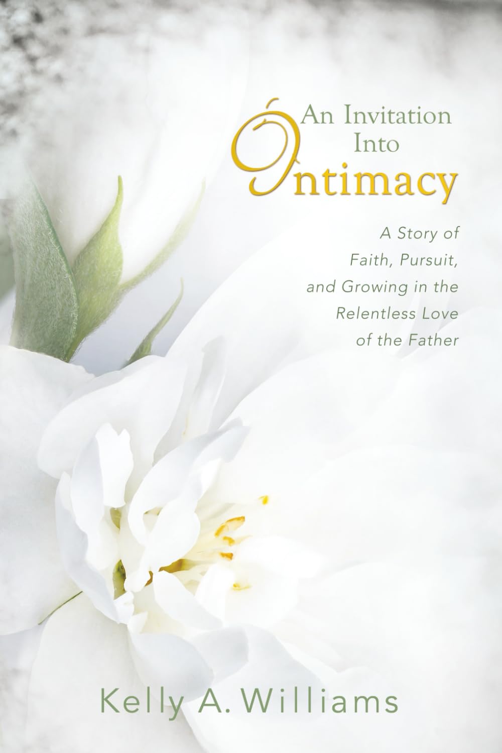 An Invitation Into Intimacy: A Story of Faith, Pursuit, and Growing in the Relentless Love of the Father