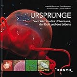 benacchio luca  Ursprünge