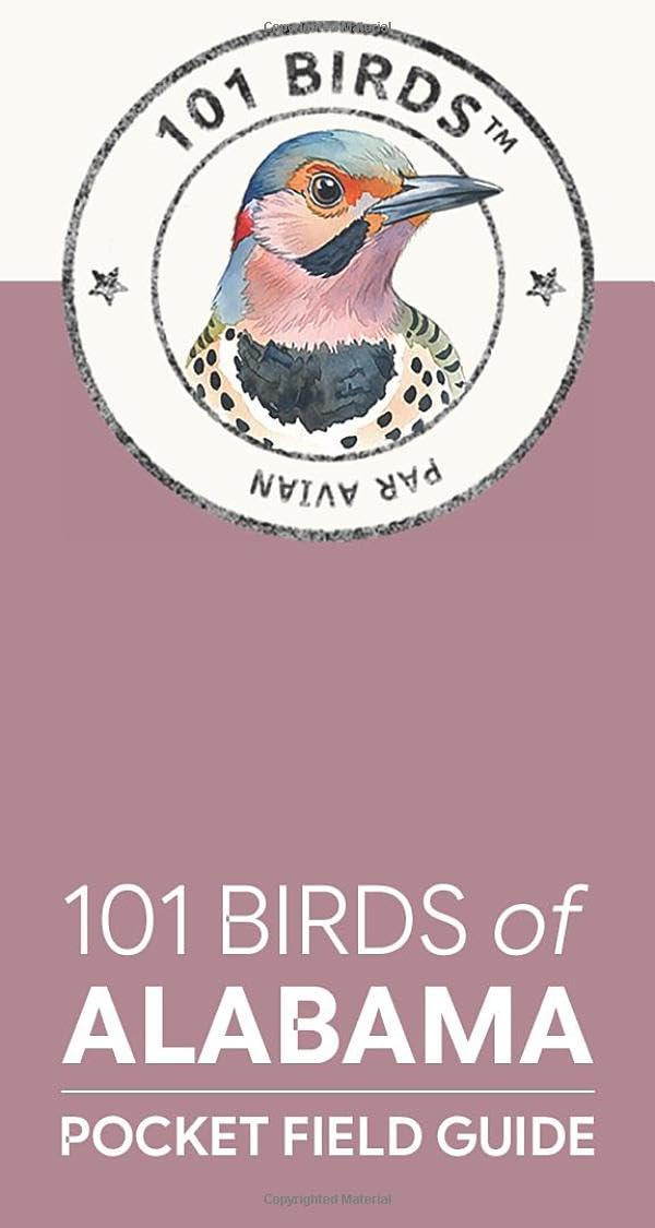 101 Birds of Alabama: Pocket Field Guide (101 Birds Pocket Field Guides)