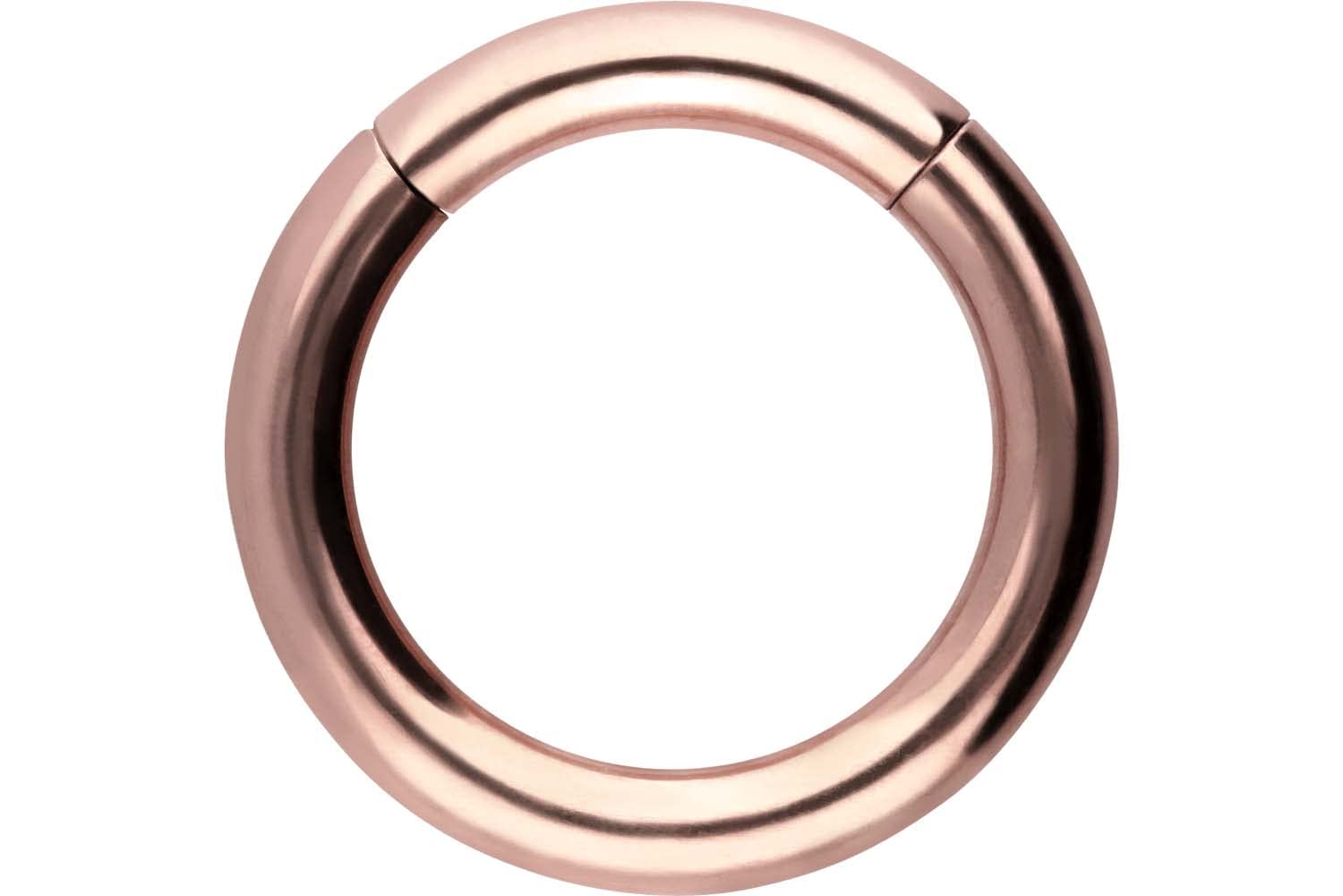 PIERCINGLINE Anillo segmento Clicker de acero quirúrgico – Piercing en oro, plata, rosa, negro o azul – para nariz, tabique, oreja, hélice o tragus — view 46