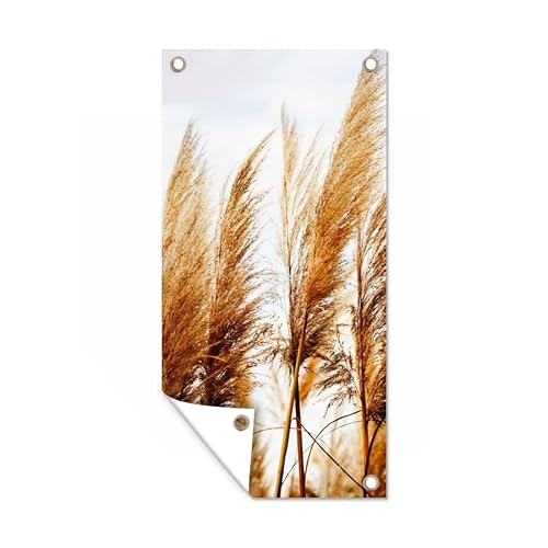 MuchoWow Poster exterieur Herbe de la pampa - Soleil - Herbe Decoration murale 80x160 cm Résistant aux intempéries/soleil