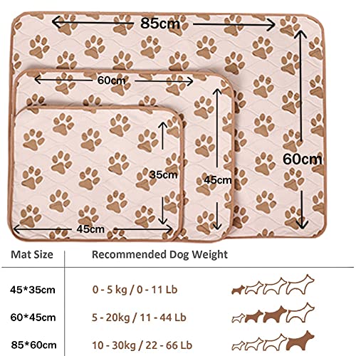 Bibykivn Alfombrillas de Entrenamiento para Cachorros, 2PCS Reutilizable Alfombrilla Higiénica de Entrenamiento, Lavables Alfombras de Adiestramiento Ultraabsorbente (Marrón, 45*35cm)