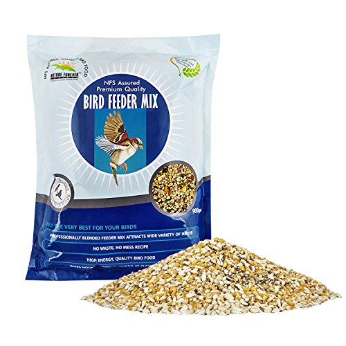 Image of wall mounted house feeder and bird feeder mix, 900g