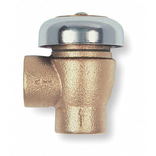 Vacuum Breaker,2 in,FNPT,Bronze,125 psi