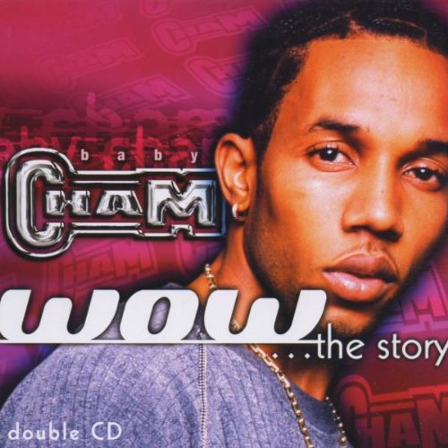 Wow the Story [Audio CD]