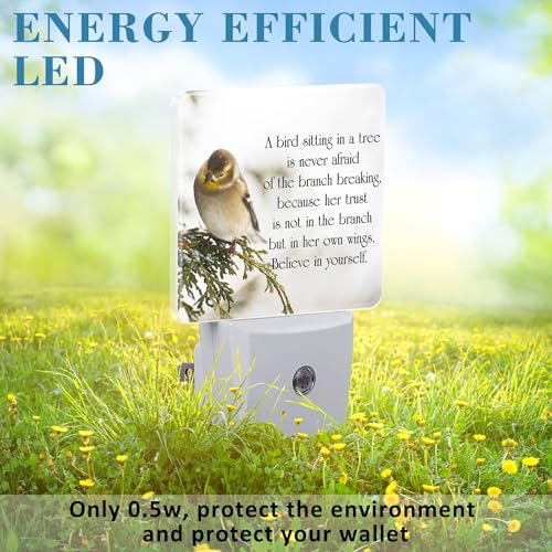Image of Plug in Night Lights Inspirational Quote on Life Nightlight Plug Into Wall Dusk to Dawn Sensor LED Night Light for Kid Girls Boys Women Room Decor,Hallway,Kitchen,Bathroom,Nursery,Stairs