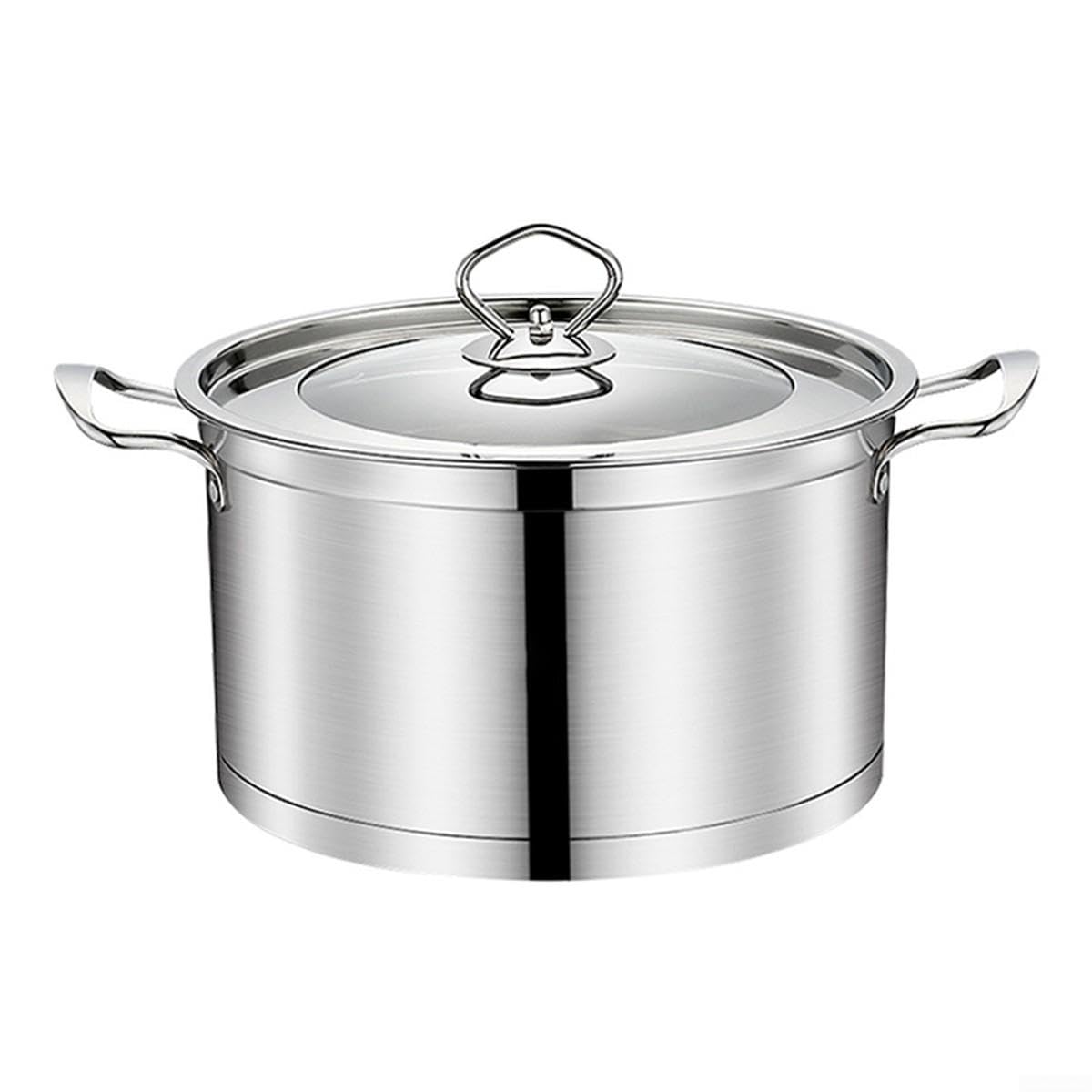 Olla Grande para acero Inoxidable Sin Níquel 24cm con Tapa Vidrio para Inducción y Gas - para ideal Sopa Caldo Guiso