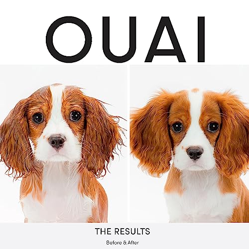 OUAI Fur Bébé Pet Shampoo, Mercer Street Scent - Dog Shampoo and Coat Wash for Hydrating, Cleansing and Adding Shine to Pet Hair - Pet Supplies by OUAI (16 Fl Oz)