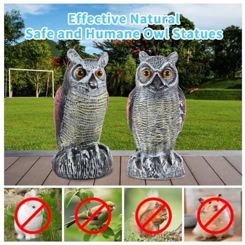 Hedoc OWL 1-1 PACK 2 Pack Fake Owl Decoys To Scare Birds Away From Gardens And Rooftop thumb #1