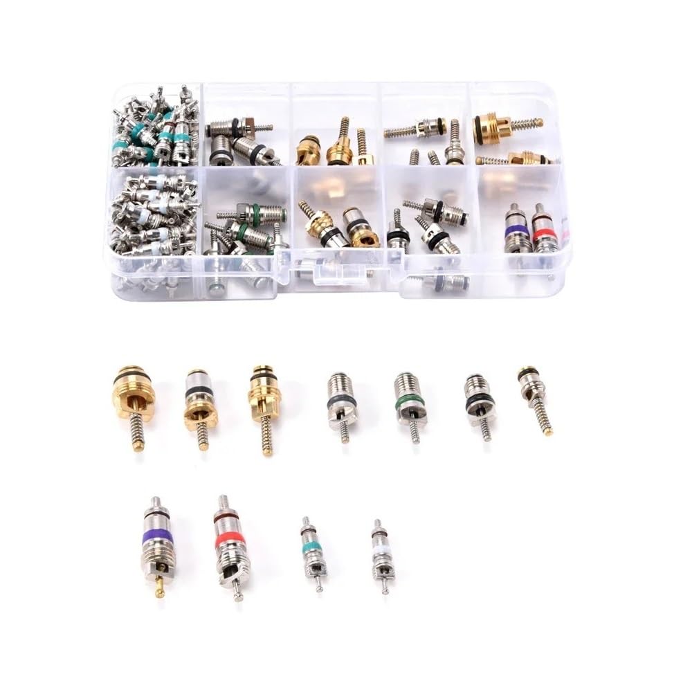 100Pcs R134A Auto A/C Core Ventile Automotive Klimaanlagen Ventil Kerne Remover Tool Kit