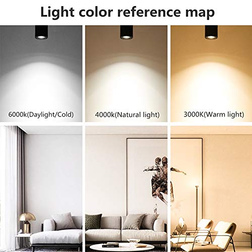 Image of LED Ceiling Spotlight-Indoor 360Adjustable Surface Mounted 10W COB Ceiling Downlight-Wall Lamp for Picture Background Wall Display Lighting(White,3000K Warm Light)