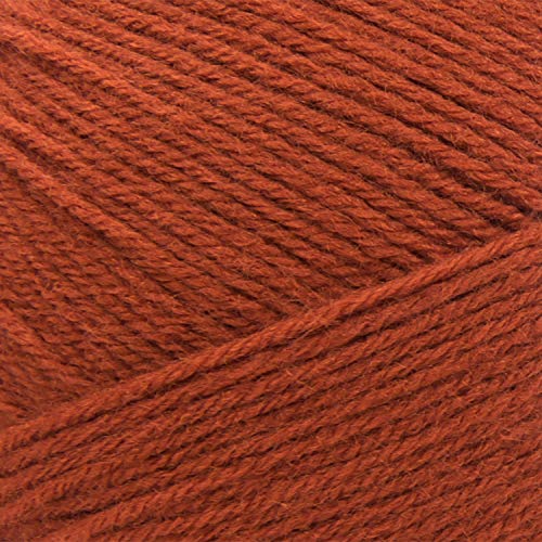 Image of Lion Brand Yarn 550-132 Pound of Love Yarn, Pumpkin Spice | Large Skein Everyday Basic 100% Acrylic Worsted Weight Knit Fiber for Baby Blankets, Classic Afghans, Sweaters, Scarf Sets
