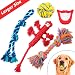 Heavy Duty Retractable Dog Leash with 5 Waste Bag Rolls and a Waste Bag Holder, Does't Tangle, Anti Slip Locking Mechanism, Great Puppy Training Tool, For Small Medium and Large Dogs