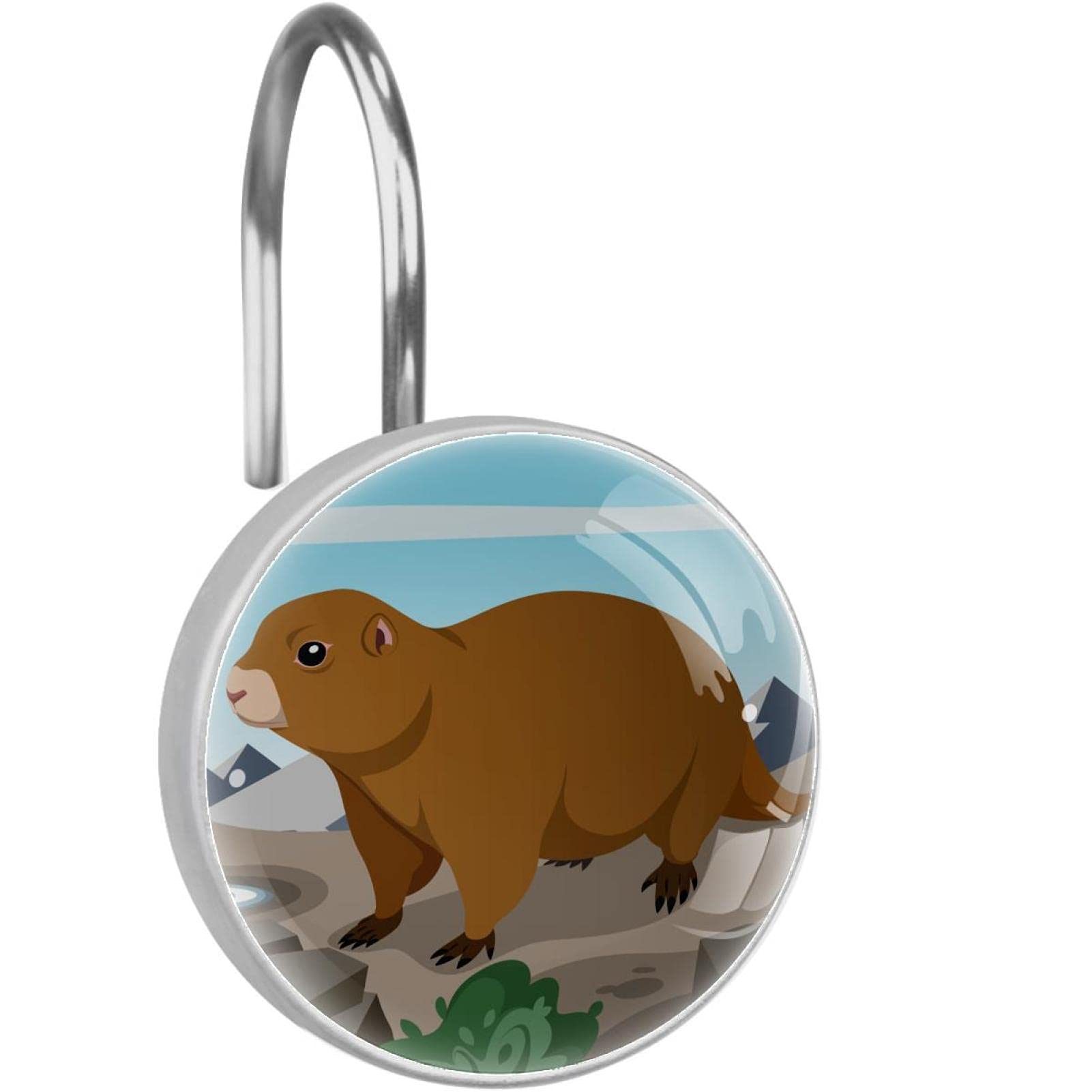Crochets décoratifs pour rideau de douche en acier inoxydable, 12 anneaux salle de bain gopher