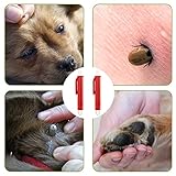 Nepfaivy Zeckenzange für Hunde Katze Mensch - 2er Set Zeckenpinzetten für Kinder und Haustier, Einfacher und Sicherer Zeckenentferner für Zecken Jeder Größe
