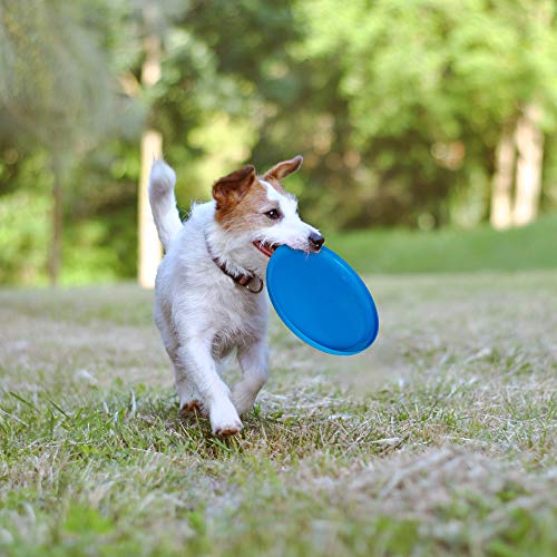 Fun Central 12 Pack - 10 Inch Flying Discs Backyard Games & Sports Party Favors For Kids & Adults - Assorted Colors #TOP2