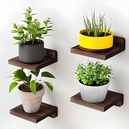 Furniture Café Set of 4 Wooden Wall Mounted Floating Shelves – Small Display Racks for Plants, Décor, and Storage (Brown)