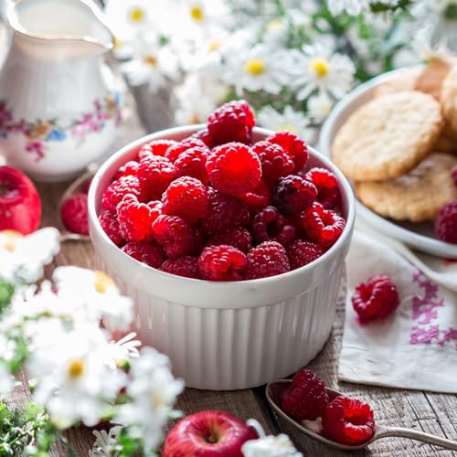 Foraineam 12 Pieces 8 oz Porcelain Souffle Dishes, Oven Safe Ramekins White Bakeware Set Dessert Custard Baking Dishes Cups for Baking, Cooking, Serving and More - Thumbnail 5